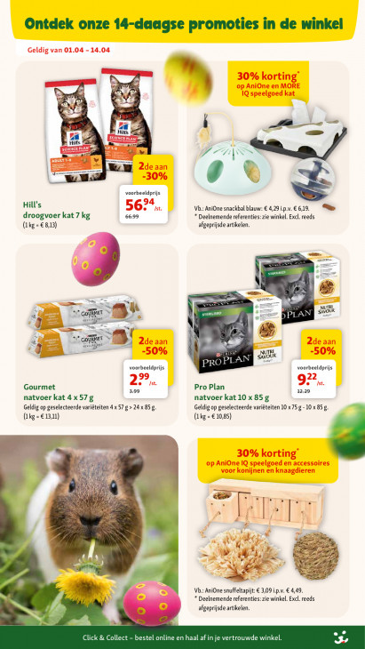 Maxi Zoo Folder 01.04.2026