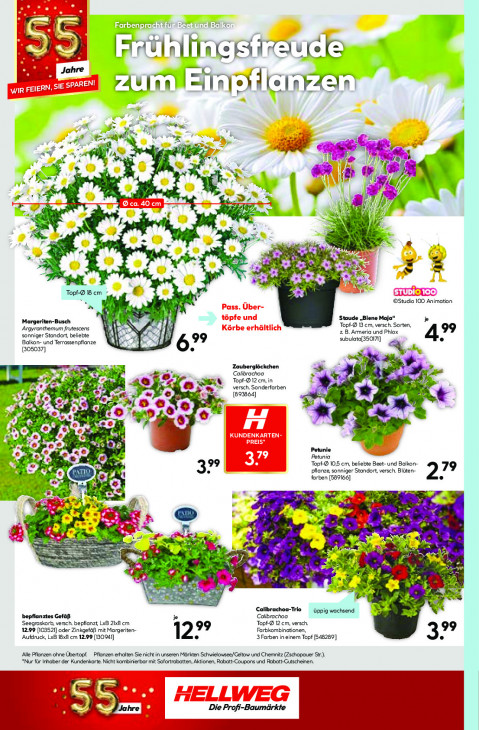 Hellweg Baumarkt Angebote ab 07.04.26 bis 11.04.26
