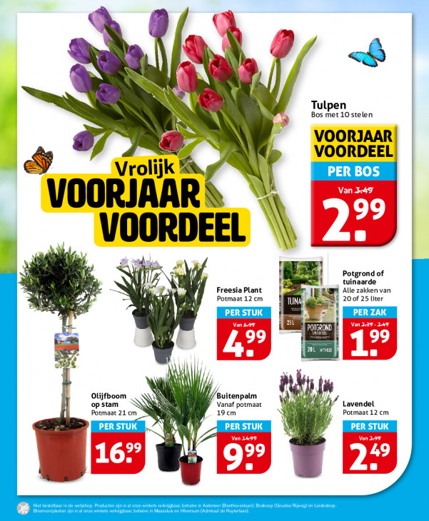 Hoogvliet Folder 08.04.2026