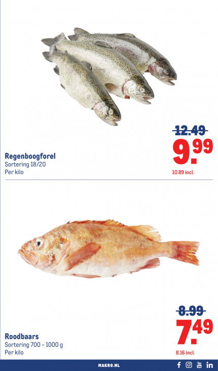 Makro Folder 08.04.2026