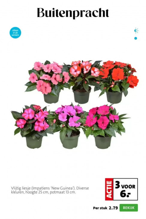 Intratuin Folder 06.04.2026