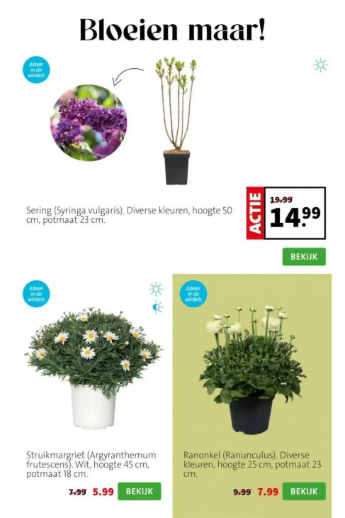 Intratuin Folder 06.04.2026