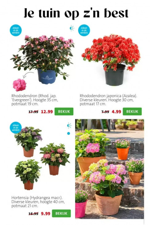 Intratuin Folder 06.04.2026