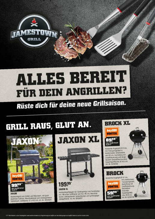 OBI - woche-14-ab-01-04-2026-bis-30-04-2026-seite-6-oelvg