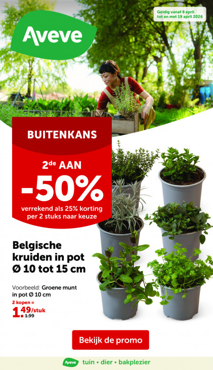 AVEVE 08.04.26 - 19.04.26