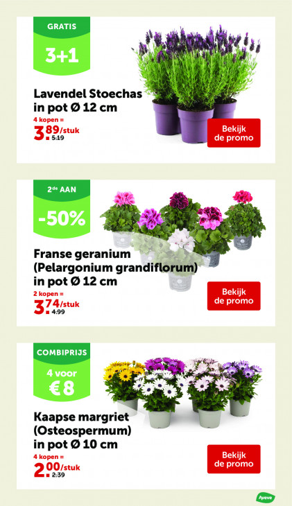 AVEVE Folder 08.04.2026