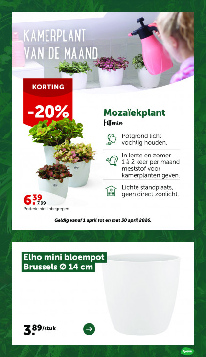 AVEVE Folder 08.04.2026