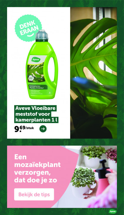 AVEVE Folder 08.04.2026