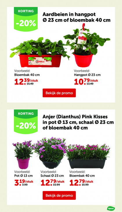 AVEVE Folder 08.04.2026