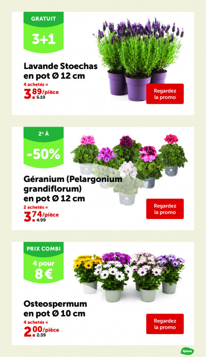 AVEVE Dépliant 08.04.2026