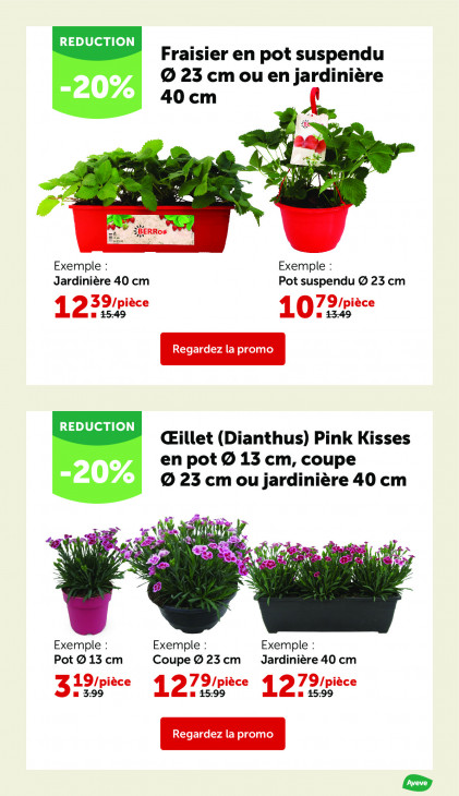 AVEVE Dépliant 08.04.2026