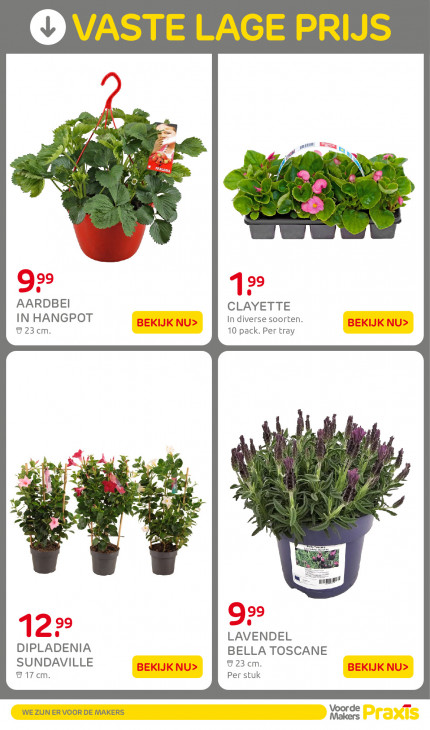 Praxis Folder 07.04.2026