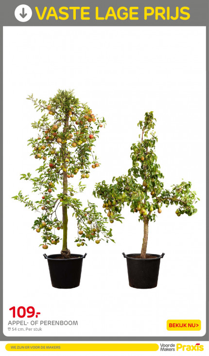 Praxis Folder 07.04.2026