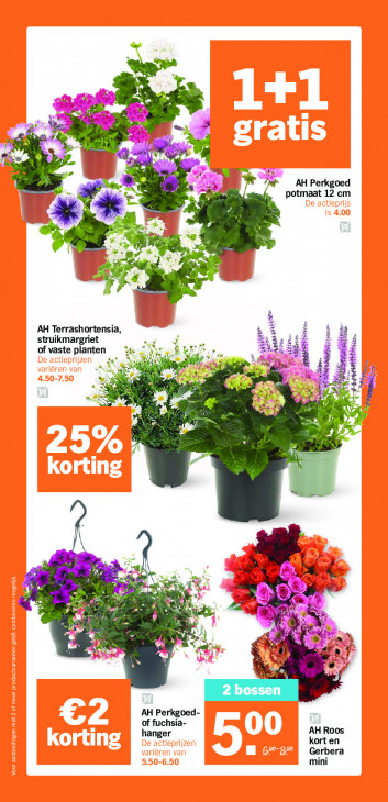 Albert Heijn Folder 13.04.2026