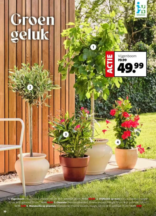 Intratuin Folder 13.04.2026