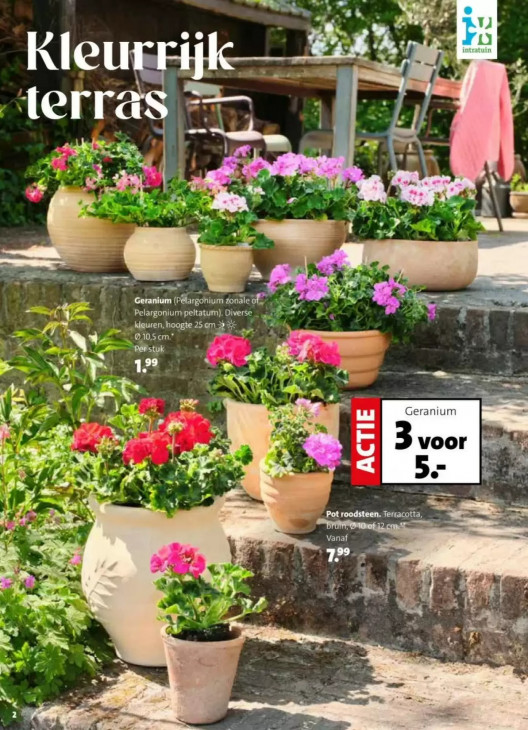 Intratuin Folder 13.04.2026