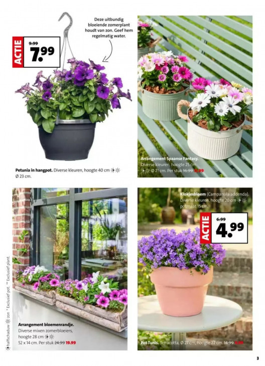 Intratuin Folder 13.04.2026