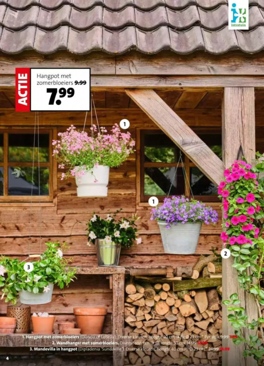 Intratuin Folder 13.04.2026