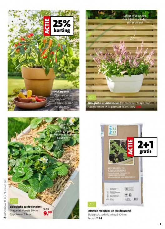 Intratuin Folder 13.04.2026