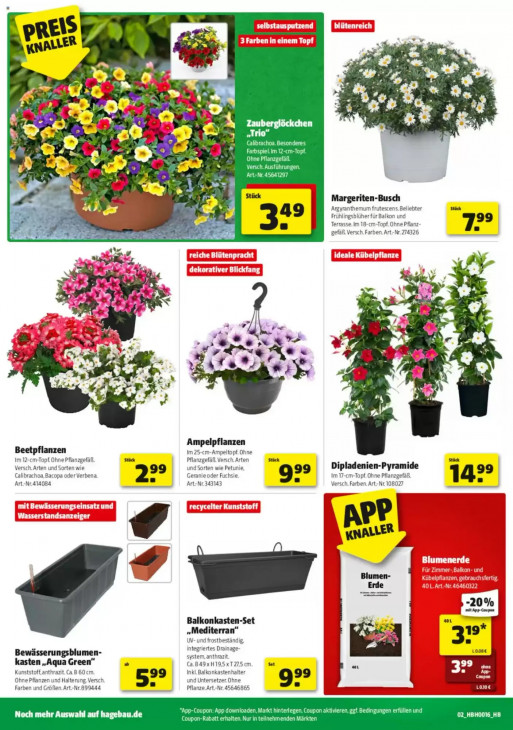 Hagebaumarkt - woche-15-ab-11-04-2026-bis-18-04-2026-seite-2-aorbz