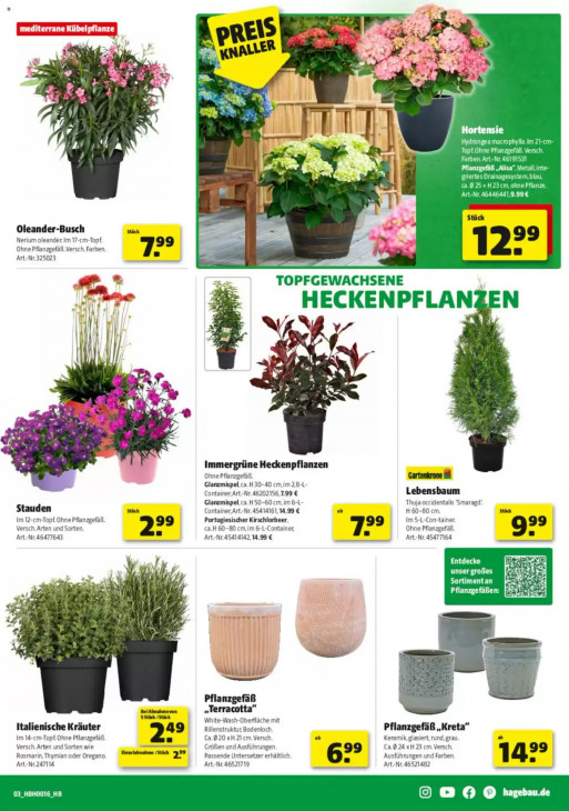 Hagebaumarkt - woche-15-ab-11-04-2026-bis-18-04-2026-seite-3-aorbz