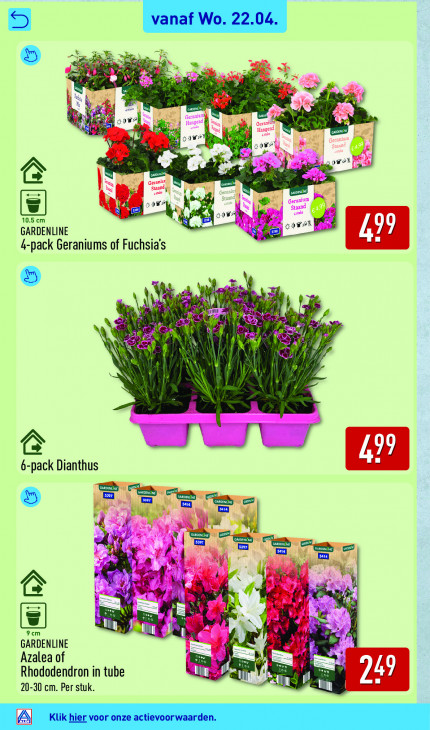 Aldi Folder 20.04.2026