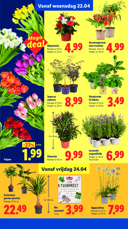 Lidl Folder 20.04.2026