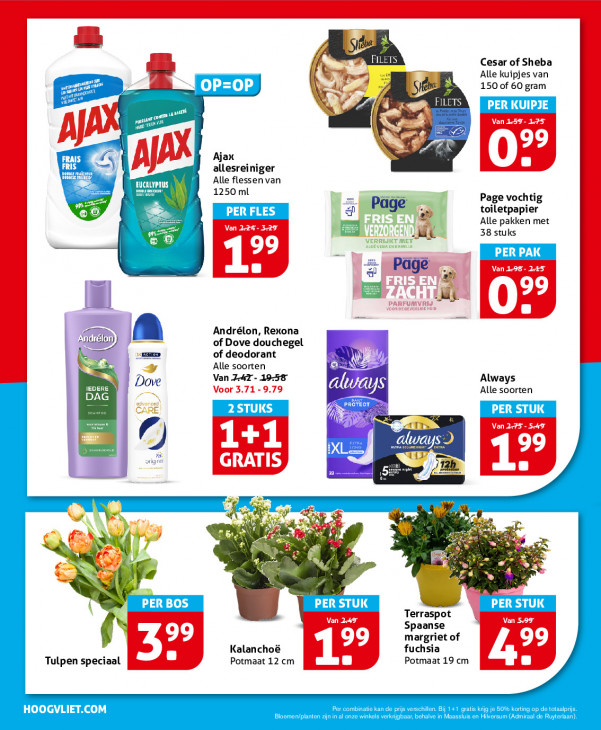 Hoogvliet Folder 22.04.2026