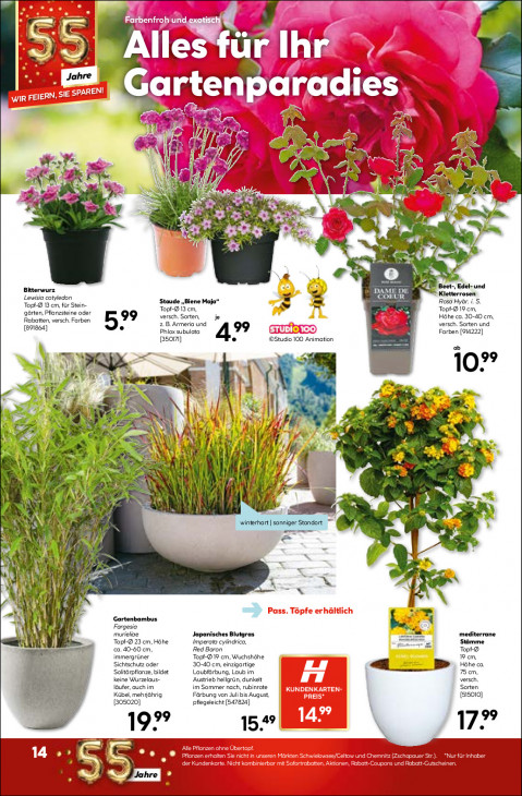 Hellweg Baumarkt - woche-17-ab-20-04-2026-bis-26-04-2026-seite-18-kybgl