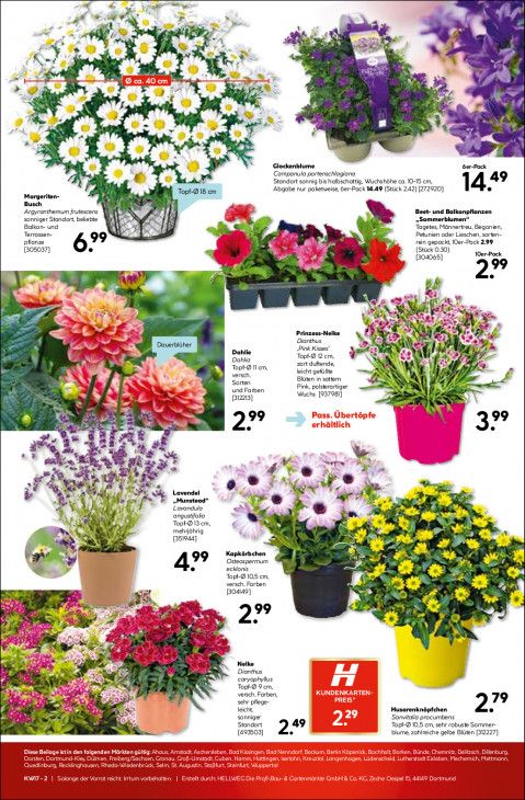 Hellweg Baumarkt - woche-17-ab-20-04-2026-bis-26-04-2026-seite-19-kybgl