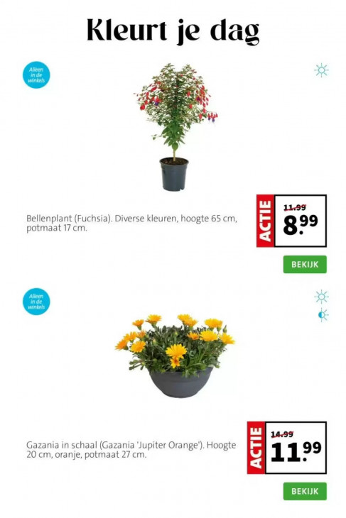 Intratuin Folder 20.04.2026