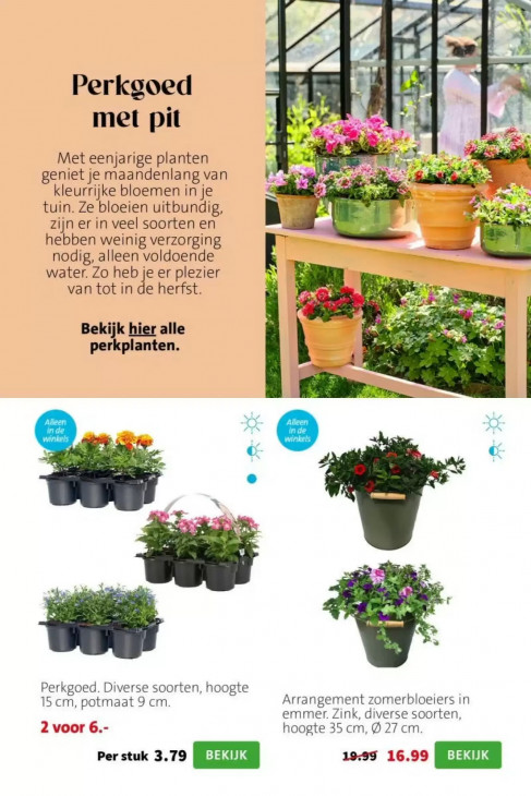 Intratuin Folder 20.04.2026