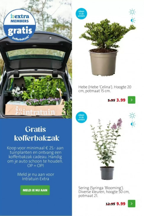 Intratuin Folder 20.04.2026