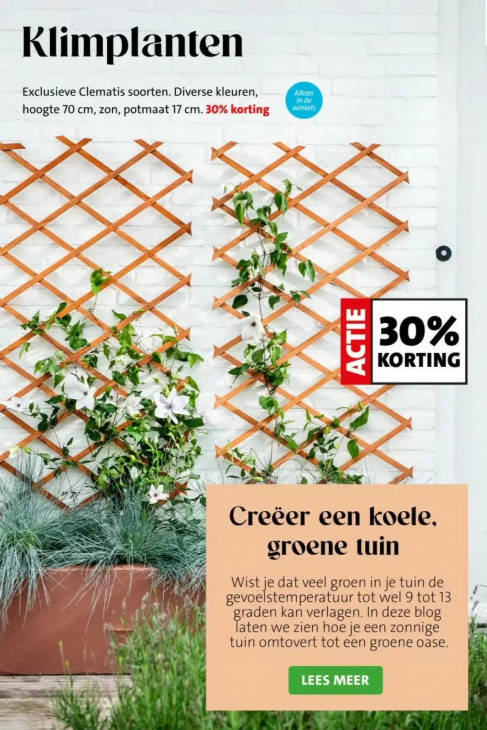 Intratuin Folder 20.04.2026