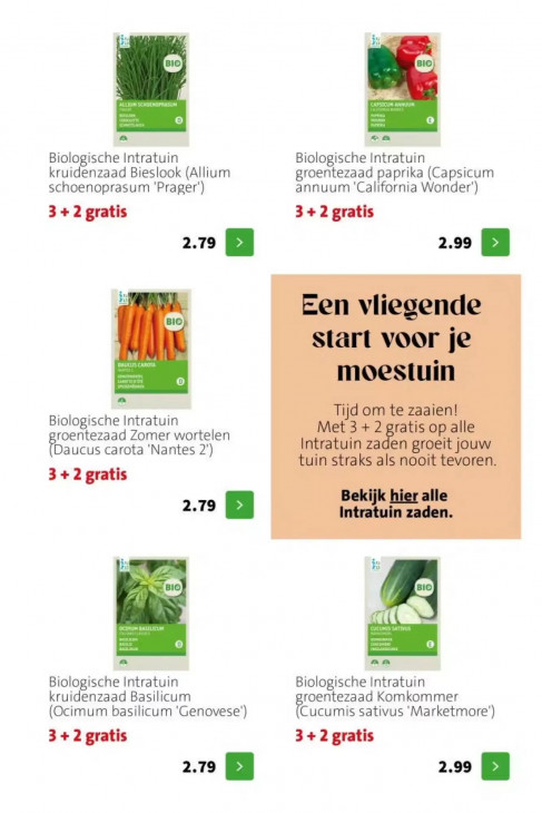 Intratuin Folder 20.04.2026