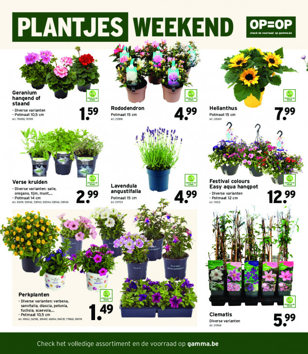 Gamma Folder 22.04.2026