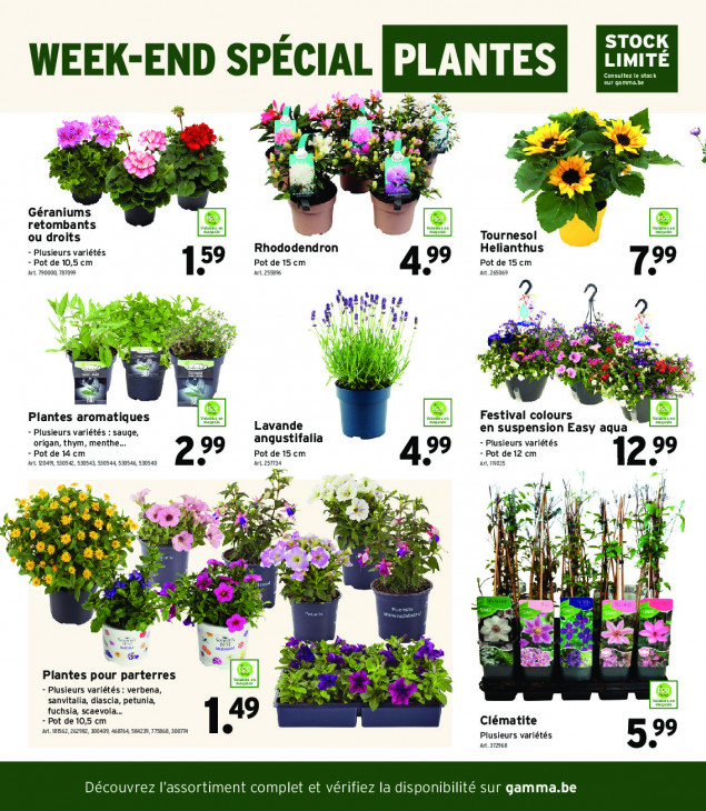 Gamma Dépliant 22.04.2026