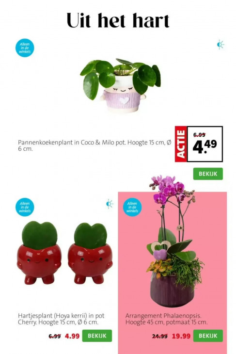 Intratuin Folder 27.04.2026