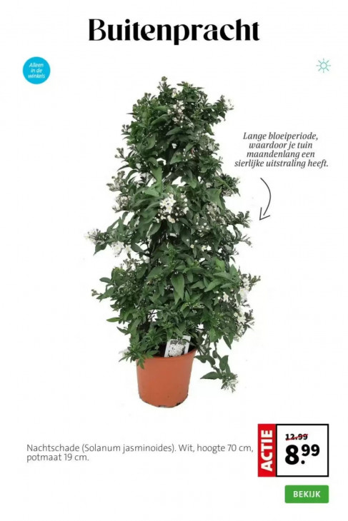 Intratuin Folder 27.04.2026