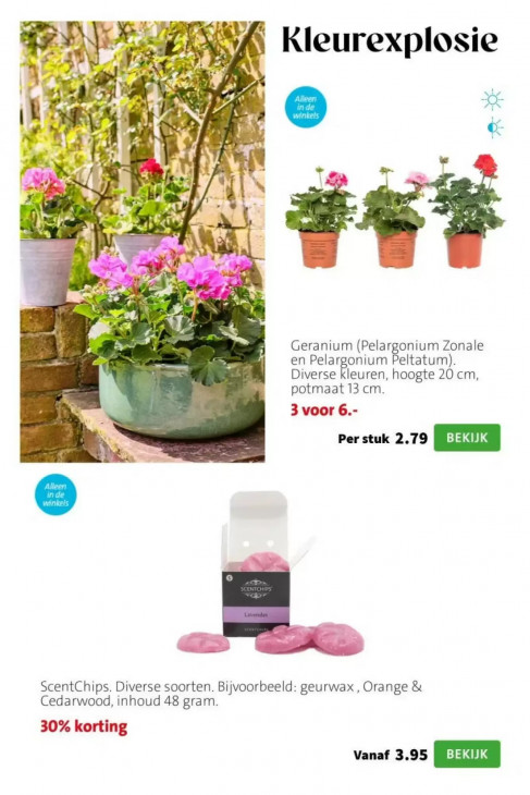 Intratuin Folder 27.04.2026