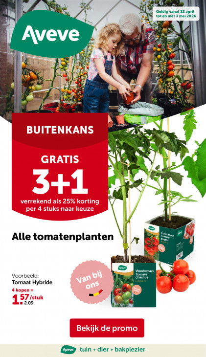 AVEVE 22.04.26 - 03.05.26