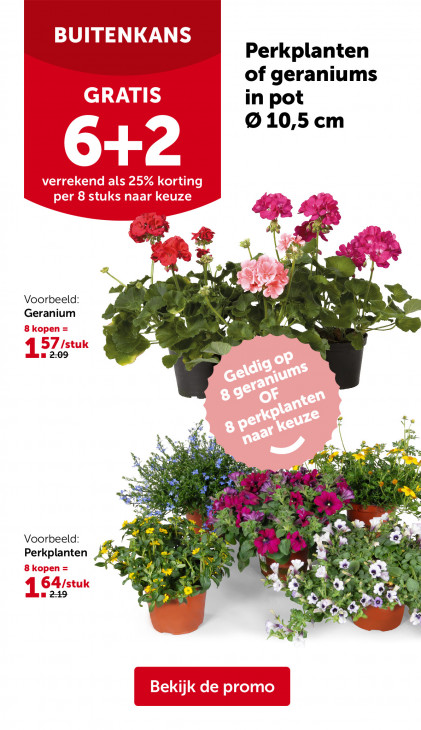 AVEVE Folder 22.04.2026