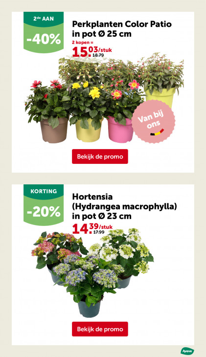 AVEVE Folder 22.04.2026