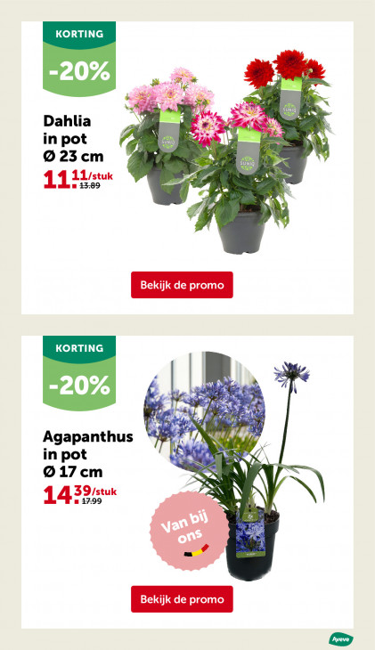 AVEVE Folder 22.04.2026