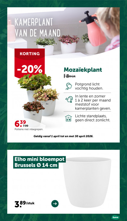 AVEVE Folder 22.04.2026