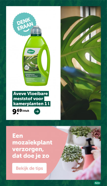 AVEVE Folder 22.04.2026