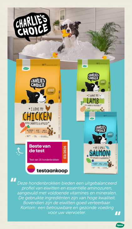 AVEVE Folder 22.04.2026