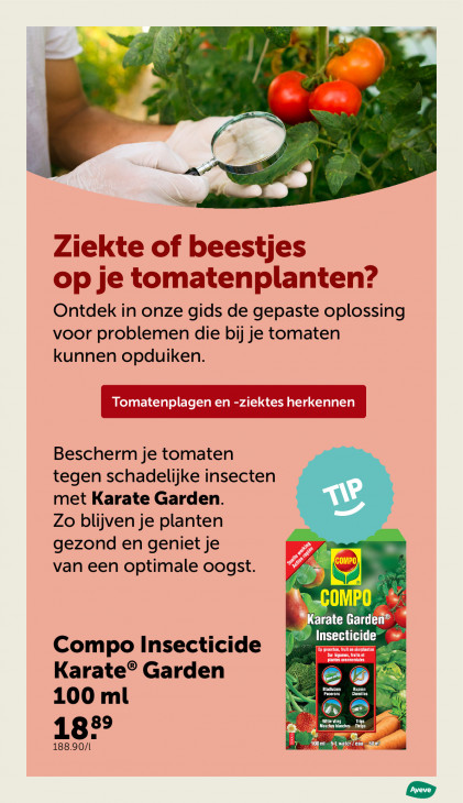 AVEVE Folder 22.04.2026