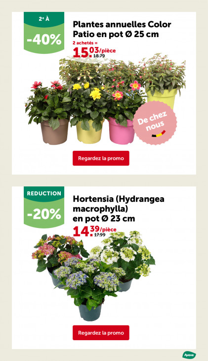 AVEVE Dépliant 22.04.2026