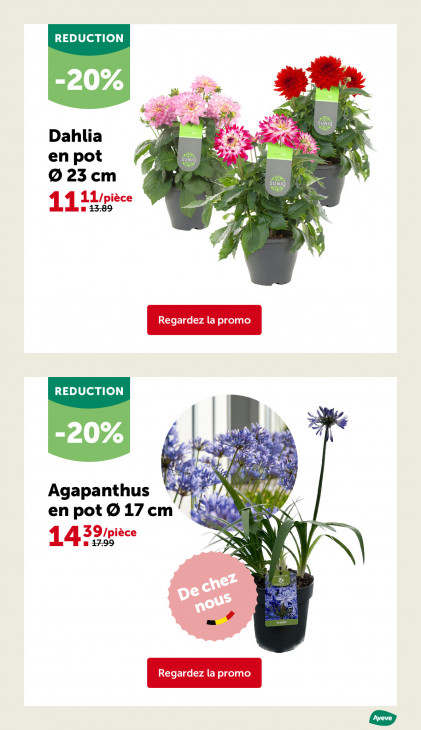 AVEVE Dépliant 22.04.2026